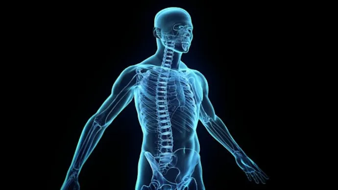 معرفی کاربرد های سیلیس در بدن انسان و فواید