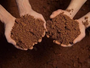 خاک نسوز چیست؟ کاربرد، انواع و قیمت خاک نسوز + راهنمای خرید جامع